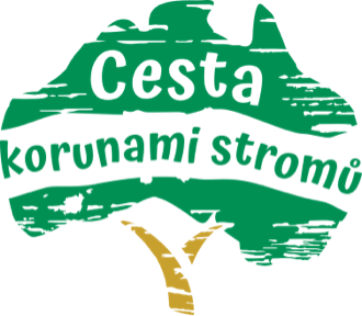 Cesta korunami stromů